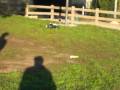 Brushless E-savage.FLM.KD,Mamba Max, Lipo