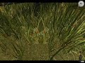 Call of Juarez - GeForce 6600 Call of Juarez - GeForce 6600