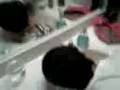 videos de Eddie's Tablespoon of Cinnamon