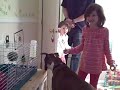 kelly meets rhino (trimmed)