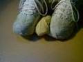 Food crush by skechers sneaker
