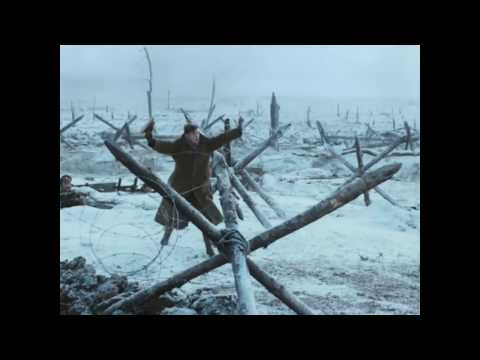 How Should Brands Adapt to a Post-Truth World?