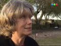 la soja transg�nica  2-  investigaci�n de \"la Liga\"