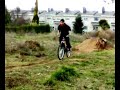 la caida de tinin