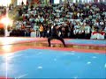 Bujinkan Venezuela