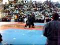 Bujinkan Venezuela