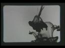 Meridian trailer