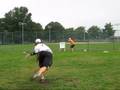 wiffle ball meduim pitch