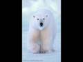 Awesome God -  Michael W. Smith