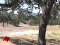 Michael Jackson's Beloved Neverland