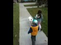 Pitbull receives training from 4 year old