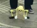 scheletro che balla