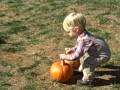 videos de Pumpkin Patch 2007