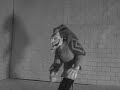 The JoKer:DiAry Of a mAdMan Part 1 The JoKer:DiAry Of a mAdMan Part 1