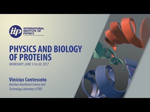 Electrostatic interactions in protein folding and stability using simplified models - Vinícius Conte