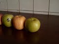 The fruit masher