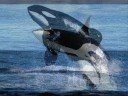 just the beautiful animals of the water 
and cathar rythm by era