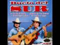 DUETO DEL SUR 
