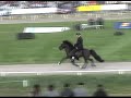 Icelandic Horses Competing at Fast Tolt Icelandic Horses Competing at Fast Tolt