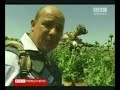 Doing the SHOOT & SCOOT in Afghanistan Doing the SHOOT & SCOOT in Afghanistan