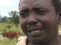 Cattle Rearing in Northern Ghana