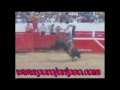 ¡¡Espectacular!! Toro de Once Carnaval Autlán 2012 (Rancho Mano de León y Rancho el Varal)