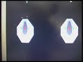 Tiro con pistola poligono GEBIM-SIAT