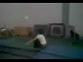 serie gim 2008