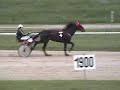 Horse Races in Budapest gallery first image