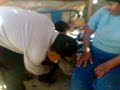 El peque�o loly