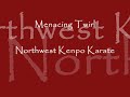 American Kenpo Tech. - Menacing Twirl