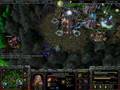 defs.nithala vs wnv.TH000 (Part 2/2)