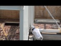 Click here to watch this video 青葉台deIDMユニットハウス（2set)wmv