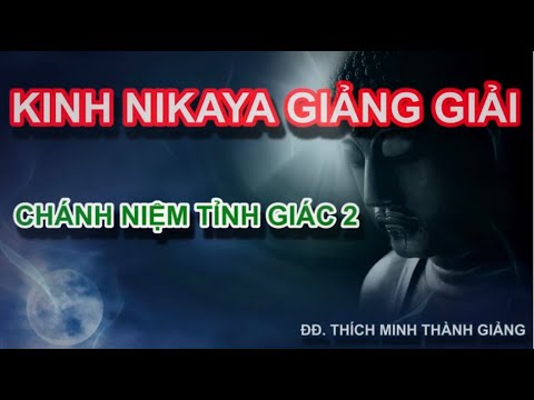 Kinh NIKAYA Giảng Giải - Chánh Niệm Tỉnh Giác 2