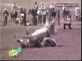 caiditas variadas 2