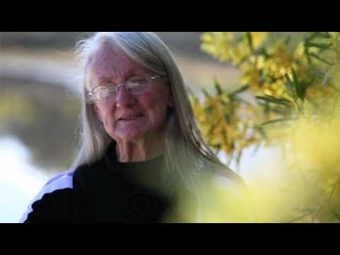 car values australia