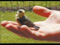 Kettcar- Hauptsache Glauben