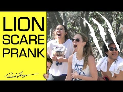 how to react to mountain lion