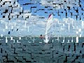 Windsurf Slalom no PREA - BRAZIL - Ceara