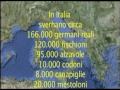 Beccaccia, abolita la “regola dello zero termico”. Federcaccia umbra soddisfatta