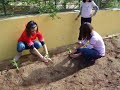 Comencem a plantar