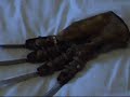Freddy Glove Freddy Glove