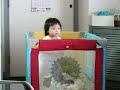 Little Ann - Dance with Barney in TV