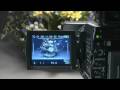 P2 Workflow Tutorial P2 Workflow Tutorial