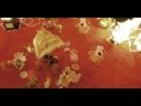 Alma - Le Poulpe Pourpre Alma - Le Poulpe Pourpre