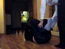 front room sliding/human bowling part 2 front room sliding/human bowling part 2