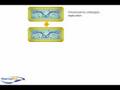 YouTube - Bacterial asexual reproduction (binary fission)