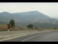 Driving In Thailand