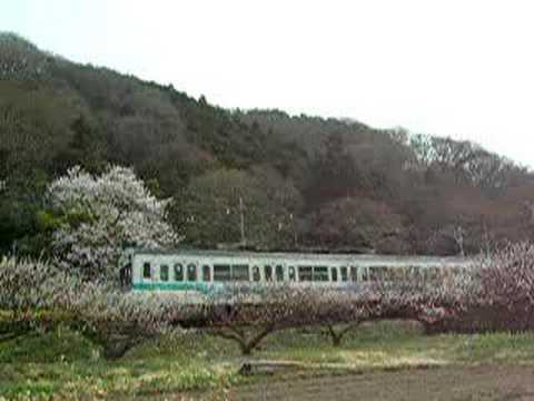 １０００系（３月３０日）②