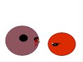 Praison The Paranoid Prune Praison The Paranoid Prune